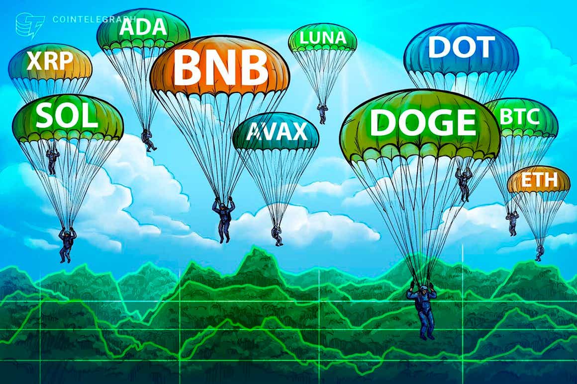 BTC, ETH, BNB, XRP, LUNA, ADA, SOL, AVAX, DOT, DOGE