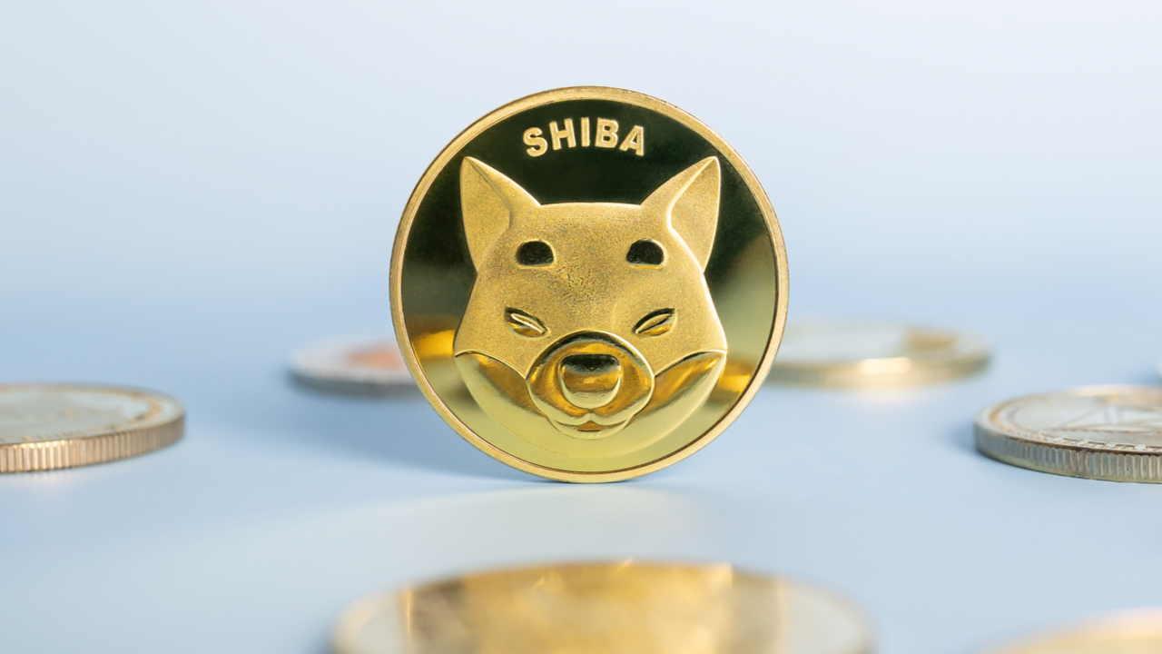 The Number of SHIB Holders Shudders in 3 Days, Shiba Inu Slid 17% in Value Last Month