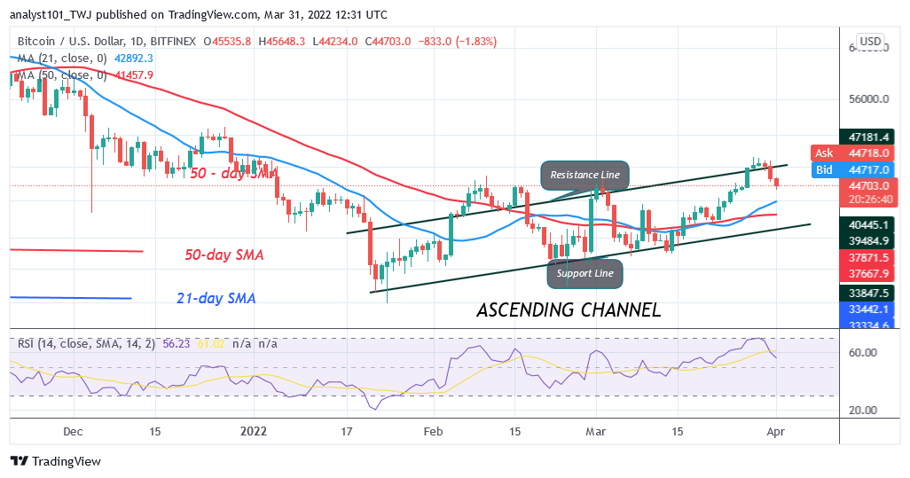 Bitcoin (BTC) Price Prediction: BTC/USD Reaches Oversold Region as Bitcoin Holds Above $44K