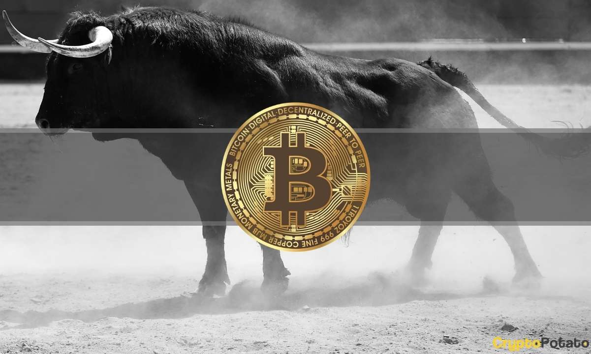 Bitcoin's Next Bull Run to Come in 2024, Predicts Morgan Creek's Mark Yusko