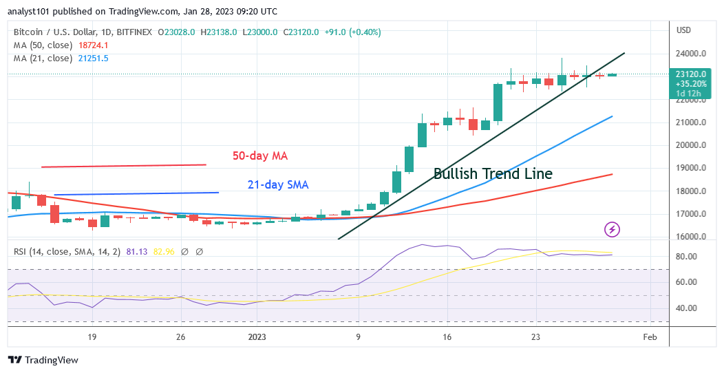 Bitcoin Price Prediction for Today, January 28: BTC Price Is Steady above the $23K Support Level