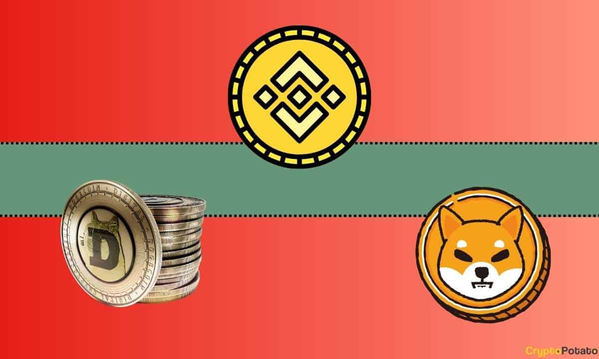 Important Binance Update Concerning Shiba Inu (SHIB) and Dogecoin (DOGE)