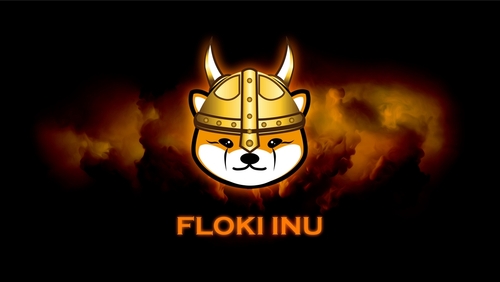 After the Bonk and Floki rally, is Memeinator the next big thing?